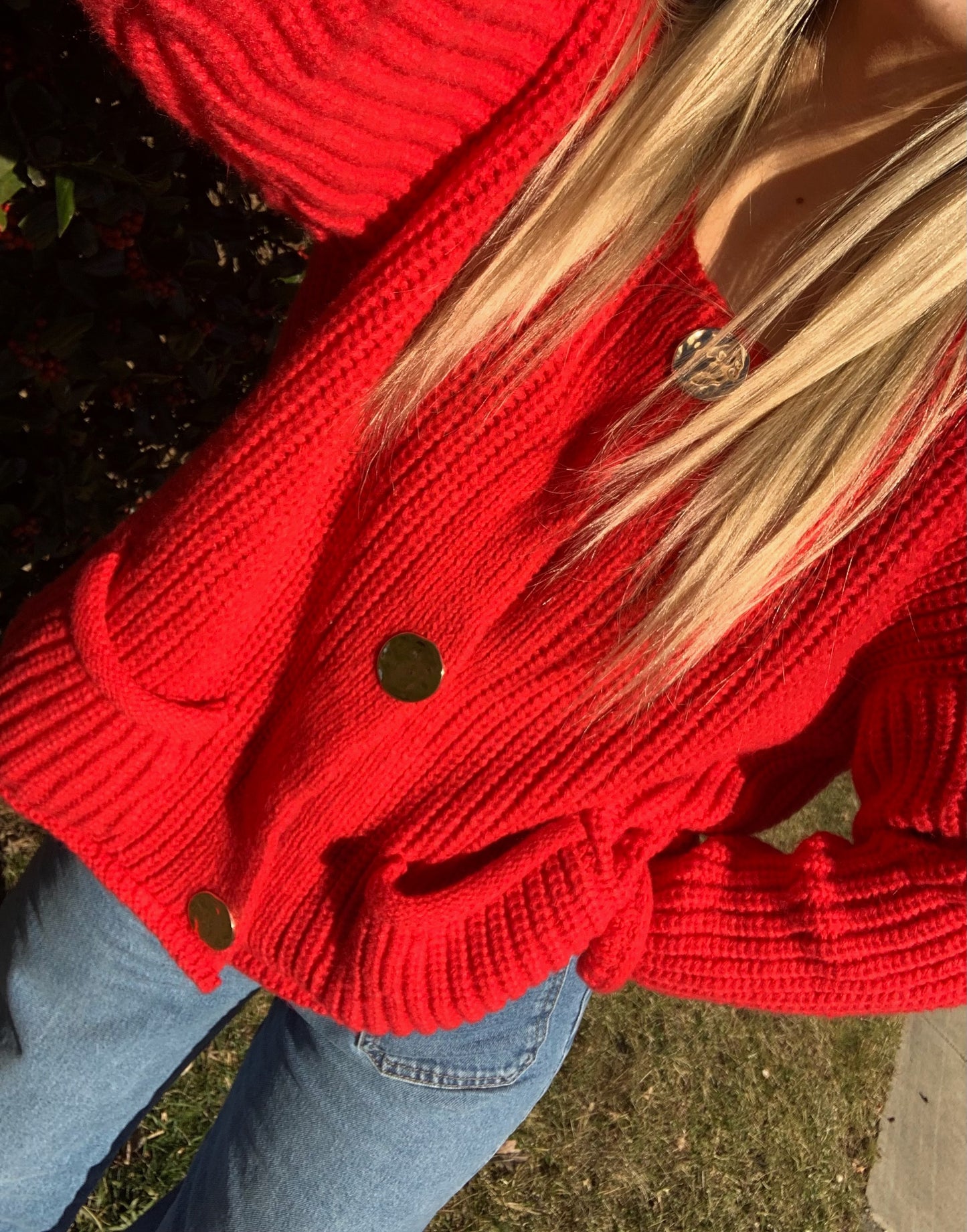 Meeting Street Sweater