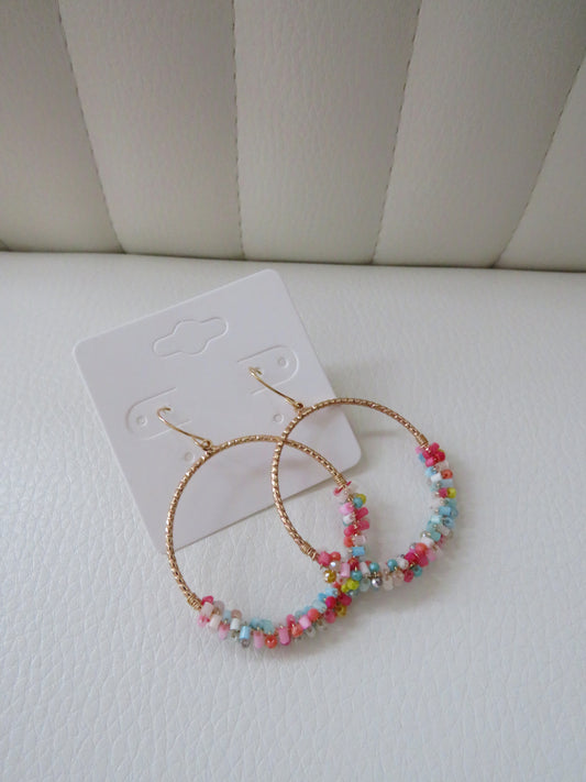 Rainbow Row Earrings